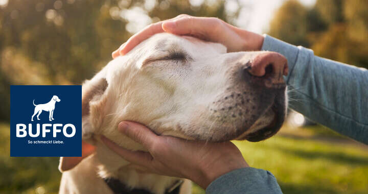 banner buffo hundefutter nachhaltigkeit 720x380